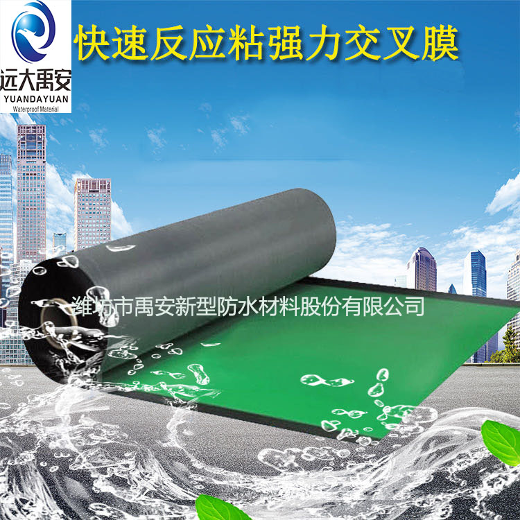 耐根穿刺高分子